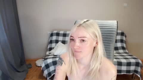 Polly online show from 11, 4, 2026