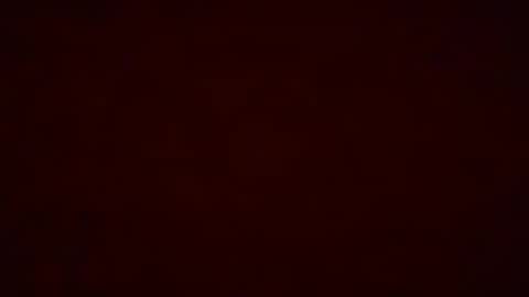 Pumpkin bunny online show from 19, 12, 2025