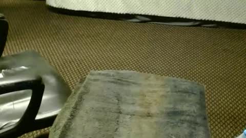 Jojo online show from 25, 11, 2025