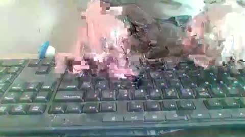 pup_y online show from 9, 1, 2026