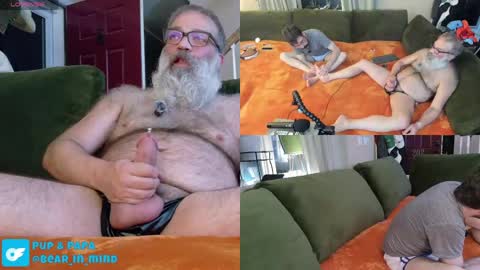Pup And Papa bear online show from 23, 5, 2026