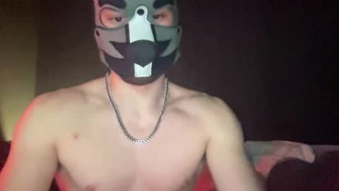 puptravel online show from 14, 1, 2026