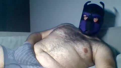 Snapshot of purple_pup_bear chatting on 6, 8, 2026 purple_pup_bear online show from 6, 8, 2026