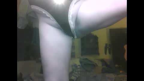 Snapshot of puss123176428 chatting on 16, 12, 2024 puss123176428 online show from 16, 12, 2024