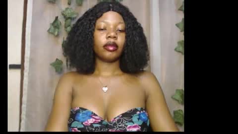 stella online show from 31, 1, 2026