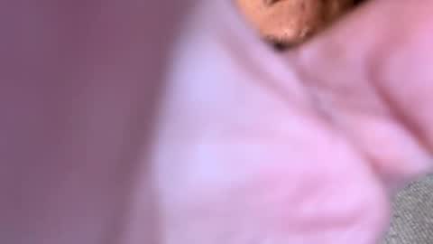 Snapshot of pussyeats1993 chatting on 18, 2, 2025 pussyeats1993 online show from 18, 2, 2025