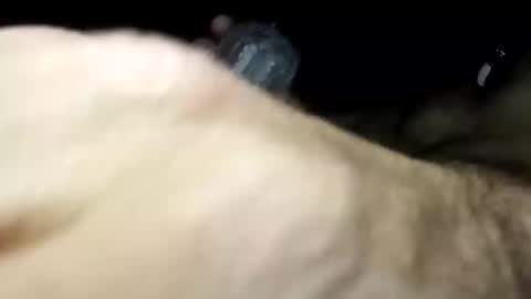 Snapshot of pussyluver420kik909587 chatting on 11, 11, 2025 Pussyluver420 online show from 11, 11, 2025