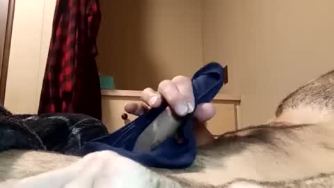 Snapshot of pussyluver520 chatting on 28, 7, 2026 Pussyluver520 online show from 28, 7, 2026