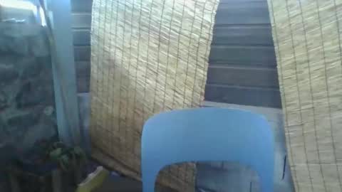 Python online show from 10, 3, 2026