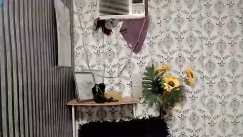 Snapshot of queen_elicktra chatting on 10, 9, 2025 JOY online show from 10, 9, 2025