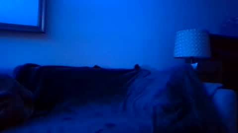 queenbee6269 online show from 17, 12, 2024