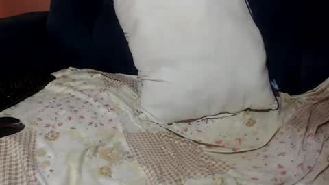Snapshot of queenchloe1 chatting on 20, 7, 2026 queenchloe1 online show from 20, 7, 2026