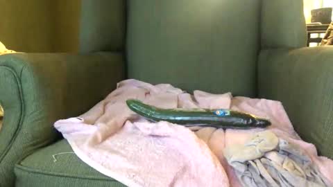 Snapshot of queenkitty477 chatting on 25, 10, 2025 queenkitty477 online show from 25, 10, 2025