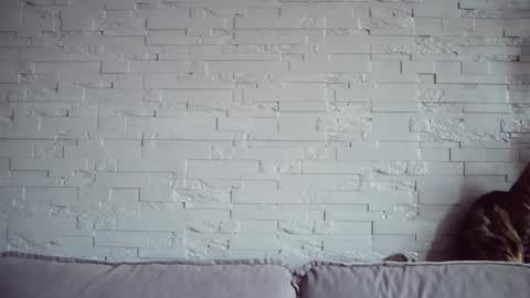 QueenOfModels online show from 17, 11, 2025