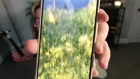 Bri online show from 17, 11, 2025