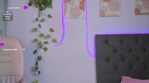    online show from 20, 2, 2026