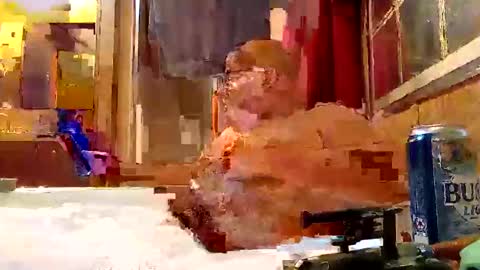 Snapshot of rabidsquirrell chatting on 5, 2, 2025 rabidsquirrell online show from 5, 2, 2025