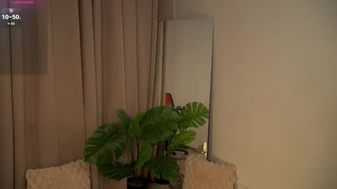 rainevi online show from 29, 11, 2025