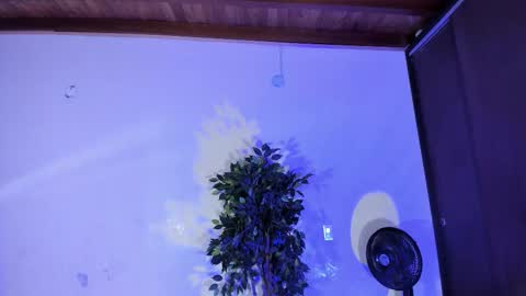 randy online show from 29, 11, 2025