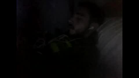 rangnork online show from 8, 11, 2025