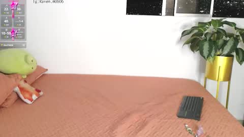 Raven online show from 4, 11, 2025