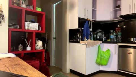 raven354 online show from 21, 12, 2024