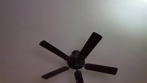 ravenhawk7 online show from 11, 9, 2025