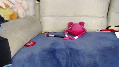 Ray  online show from 8, 1, 2026