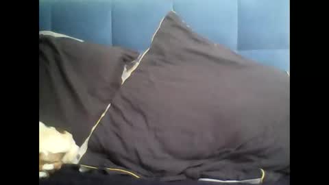 rayday_ online show from 9, 3, 2025