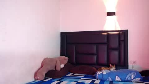 Snapshot of raydevil_ chatting on 17, 10, 2025 Rayn online show from 17, 10, 2025