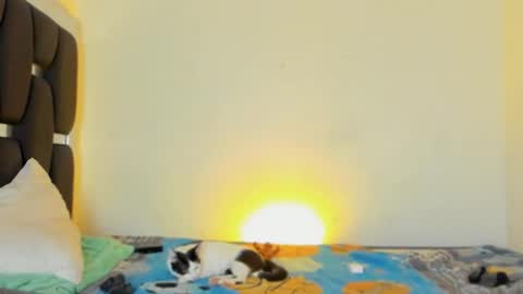 Snapshot of raydevil_ chatting on 5, 11, 2025 Rayn online show from 5, 11, 2025