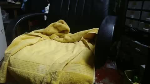 Snapshot of raysmith77777777 chatting on 24, 11, 2025 Ray online show from 24, 11, 2025