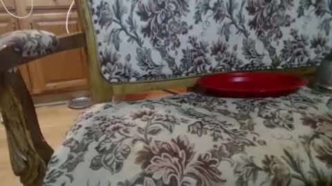 Ray online show from 1, 2, 2026