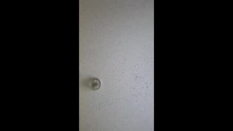 Snapshot of razalgirls chatting on 3, 3, 2026 razalgirls online show from 3, 3, 2026