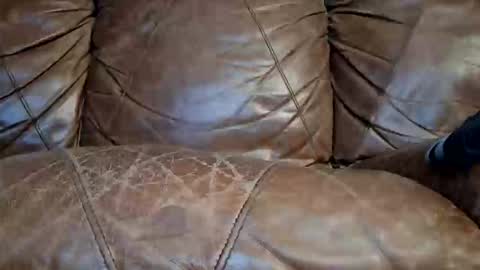 Snapshot of razorhoof676329782 chatting on 15, 1, 2026 Doyle Wesley Coody III online show from 15, 1, 2026