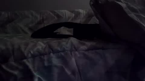 rcalty online show from 10, 11, 2025