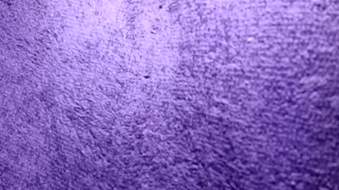 Snapshot of reafrio chatting on 21, 10, 2025 Rasta online show from 21, 10, 2025