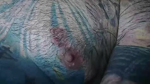 realrubpirate online show from 11, 1, 2026