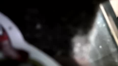 reba21 online show from 1, 2, 2026