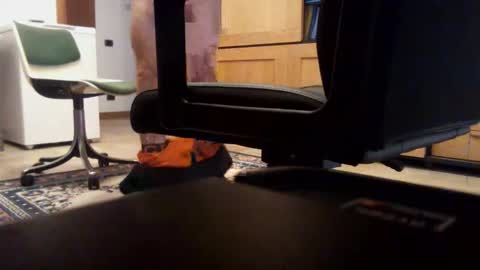 redbull3254 online show from 2, 12, 2025