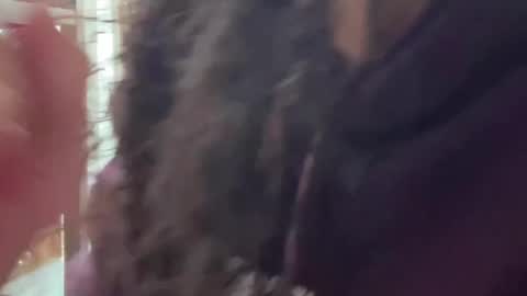 redfloweer online show from 28, 9, 2025