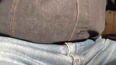 redfox60010 online show from 13, 4, 2026