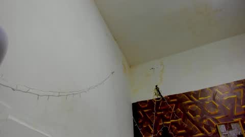 Snapshot of reed_kitty chatting on 15, 12, 2025 reed_kitty online show from 15, 12, 2025