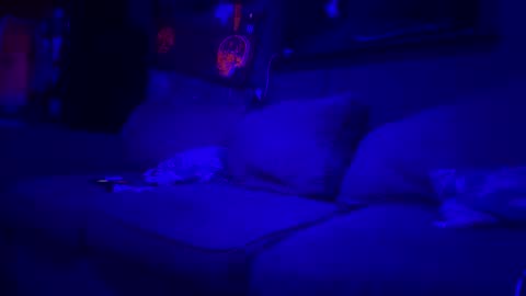 Lee online show from 10, 3, 2026