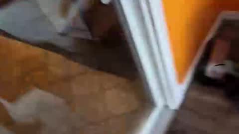 reggie007007 online show from 7, 1, 2026