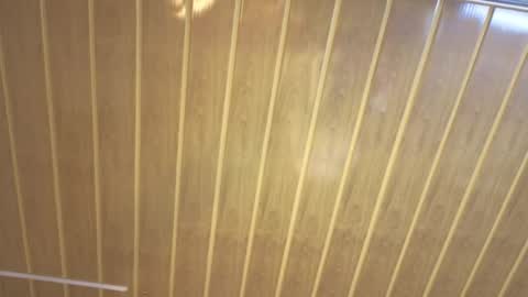 renaxi_smith online show from 22, 2, 2026