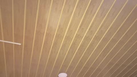 renaxi_smith online show from 24, 5, 2026