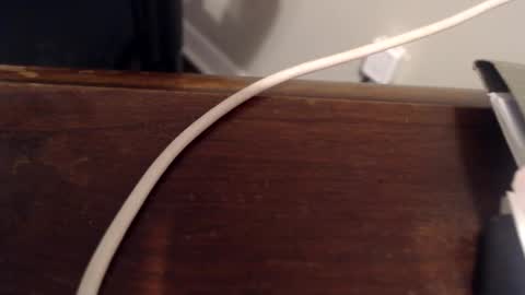 Snapshot of rh1429 chatting on 17, 2, 2025 Trae online show from 17, 2, 2025