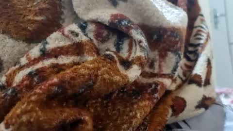 ricard440 online show from 12, 1, 2025