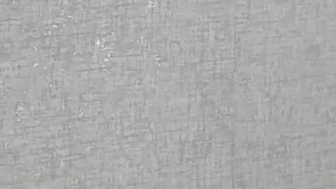 Snapshot of ricardogonzalez666 chatting on 28, 12, 2024 ricardogonzalez666 online show from 28, 12, 2024